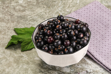Ripe black currant in the bowl