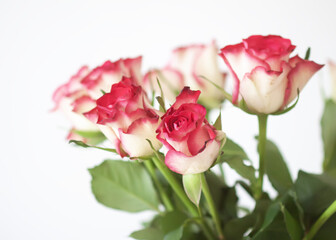 Red roses. Beautiful flowers. Romantic bouquet details.