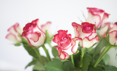 Red roses. Beautiful flowers. Romantic bouquet details.