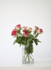 Red rose flowers. Romantic bouquet in minimalist style interior.