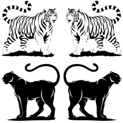 Set of stylized vector illustrations featuring two white tigers and two black panthers in a walking pose, rendered in bold black-and-white line art with mirrored symmetry.