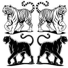 Set of stylized vector illustrations featuring two white tigers and two black panthers in a walking pose, rendered in bold black-and-white line art with mirrored symmetry.