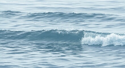 Fototapeta premium Ocean Wave Breaking Gently with Calm Water Surface