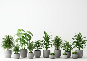 Obraz premium Potted Plants Arrangement Several Green Plants Indoors