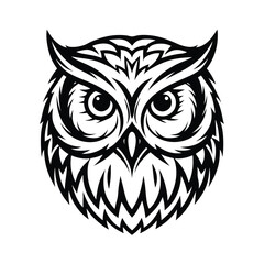 Fototapeta premium Stylized Owl Portrait, Black and White Design, Sharp Feathers, Bird Icon, Isolated