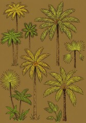 Obraz premium Palm Grove Sketches AI Generated