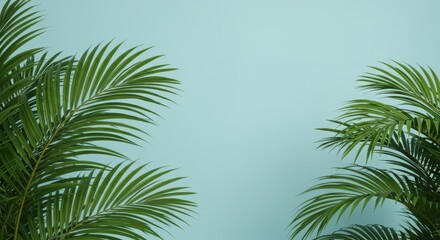 Fototapeta premium Green Palm Leaves on Blue Background