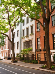 Fototapeta premium Urban summer stroll through residential street in New York City in July with brownstone buildings and vibrant greenery