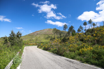 Road to Vesuvius cone