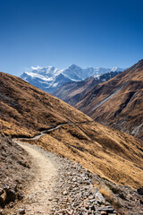 Thorung Khola gorge in autumn. Trekking route from Manang to Thorong La against snowy and high Gangapurna and Annapurna III peaks. Himalaya mountains, Nepal.