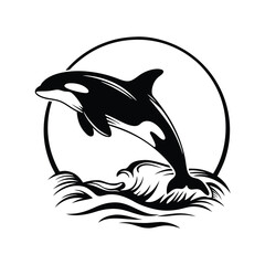 Striking Killer Whale Black Orca Leaping From Sea Waves in Circle