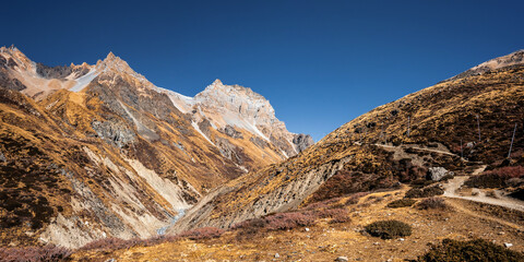 Trekking route to Thorung La pass. Himalayan alpine meadows between Yak Kharka and Thorung Phedi. Autumn landscape in Nepal.