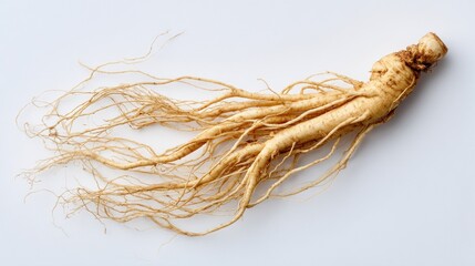 Dried Ginseng Root (5)