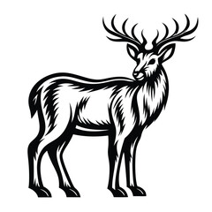 Black and White of a Majestic Stag with Antlers Standing Proudly