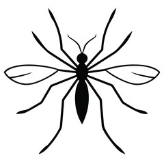 mosquito isolated on white