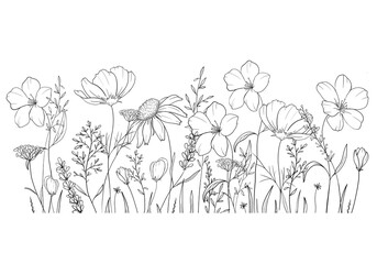Sketch hand drawn black and white illustration of wild flowers, done in a minimalist sketch style isolated on white background. Ideal for coloring, design and illustrations, print, tattoo.