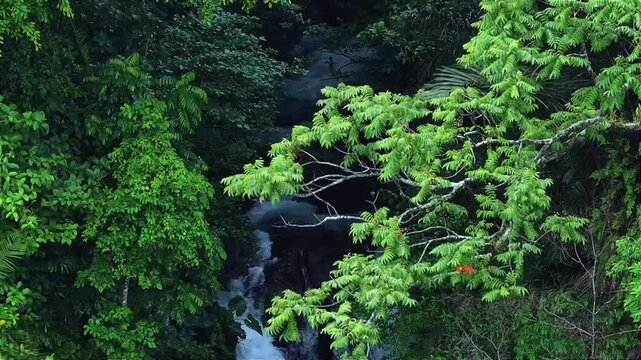 Aerial view of Cunca Lega Waterfall in NTT, Indonesia