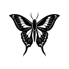 Atlas moth wings spread silhouette