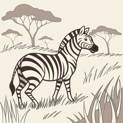 zebra in the grass