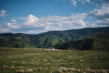 Fototapeta premium Serene landscape photo of sheep grazing on a grassy hill with a small house and majestic mountains in the background under a partly cloudy sky.