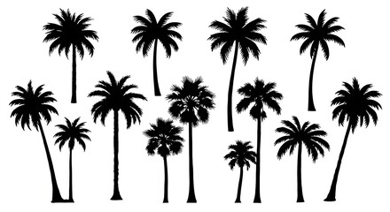 Obraz premium Palm Silhouette Symphony AI Generated