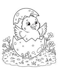 Hatching Baby Bird from Egg – Cute Newborn Line Art