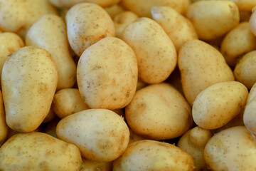 Potatoes are sold at the food market. Fresh farm produce.