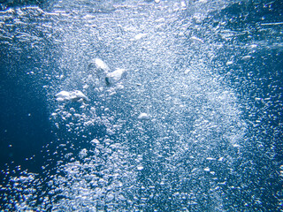 bubbles, bubble, water, underwater, sea, air, deep, undersea, under, background, wave, liquid,...