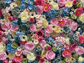 Bright background of buds of colorful kinds of flowers
