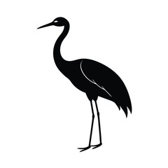 Elegant crane silhouette bird wildlife nature
