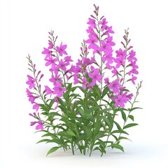 Naklejka premium Cluster of vibrant purple flowers and foliage against a white background.