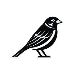 Elegant black and white bird illustration