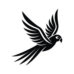 Fototapeta premium Black parrot in flight winged bird silhouette