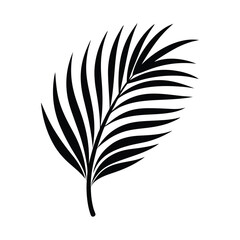Obraz premium Single black palm leaf tropical summer design