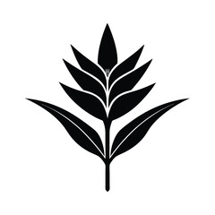 Elegant black silhouette tropical flower botanical illustration