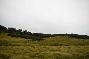 Fototapeta premium Horton Plains National Park, Sri Lanka.