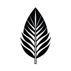 Stylish black and white tropical leaf design