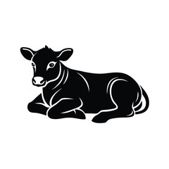 Adorable black calf lying down farm animal