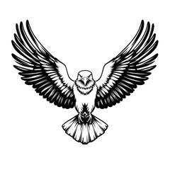 Obraz premium Intricate black and white illustration of bird with outstretched wings, showcasing detailed feather patterns and symmetrical design. bird appears majestic and powerful