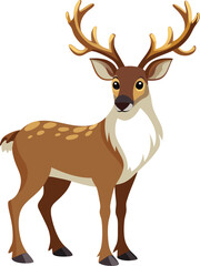Reindeer
