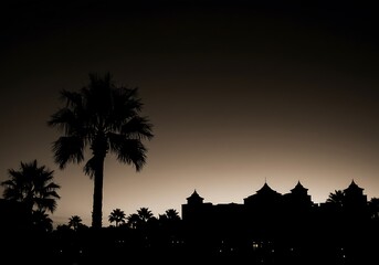 Desert Dusk Silhouette AI Generated