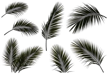 Emerald Fronds AI Generated