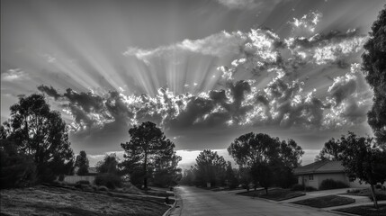 sunlight that illuminates nature with aesthetics