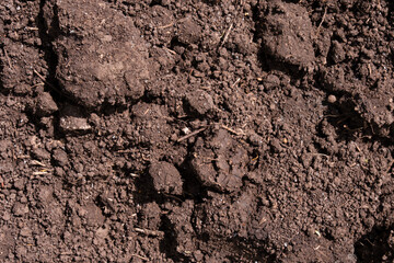 dug fertile soil, bed for planting plants, textured background