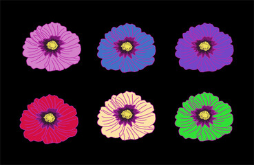 set of colorful flowers