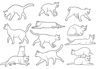 Feline Forms: A Line Study AI Generated