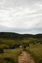 A Couple on a Hike in Horton Plains National Park, Sri Lanka.