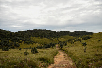 Fototapeta premium Horton Plains National Park, Sri Lanka.