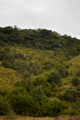 Horton Plains National Park, Sri Lanka.