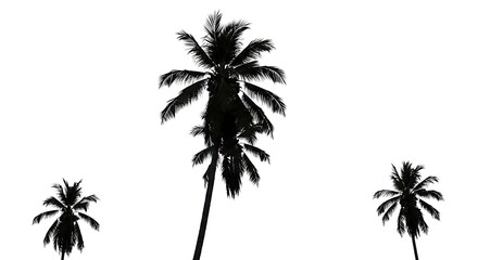 Whispers of the Tropics AI Generated